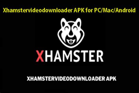 free movies porno|xHamster.com